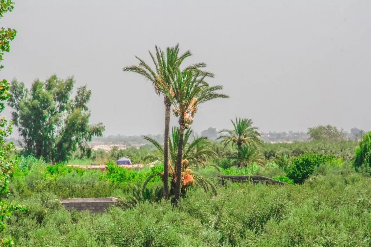 Villa Green House Marrakesh